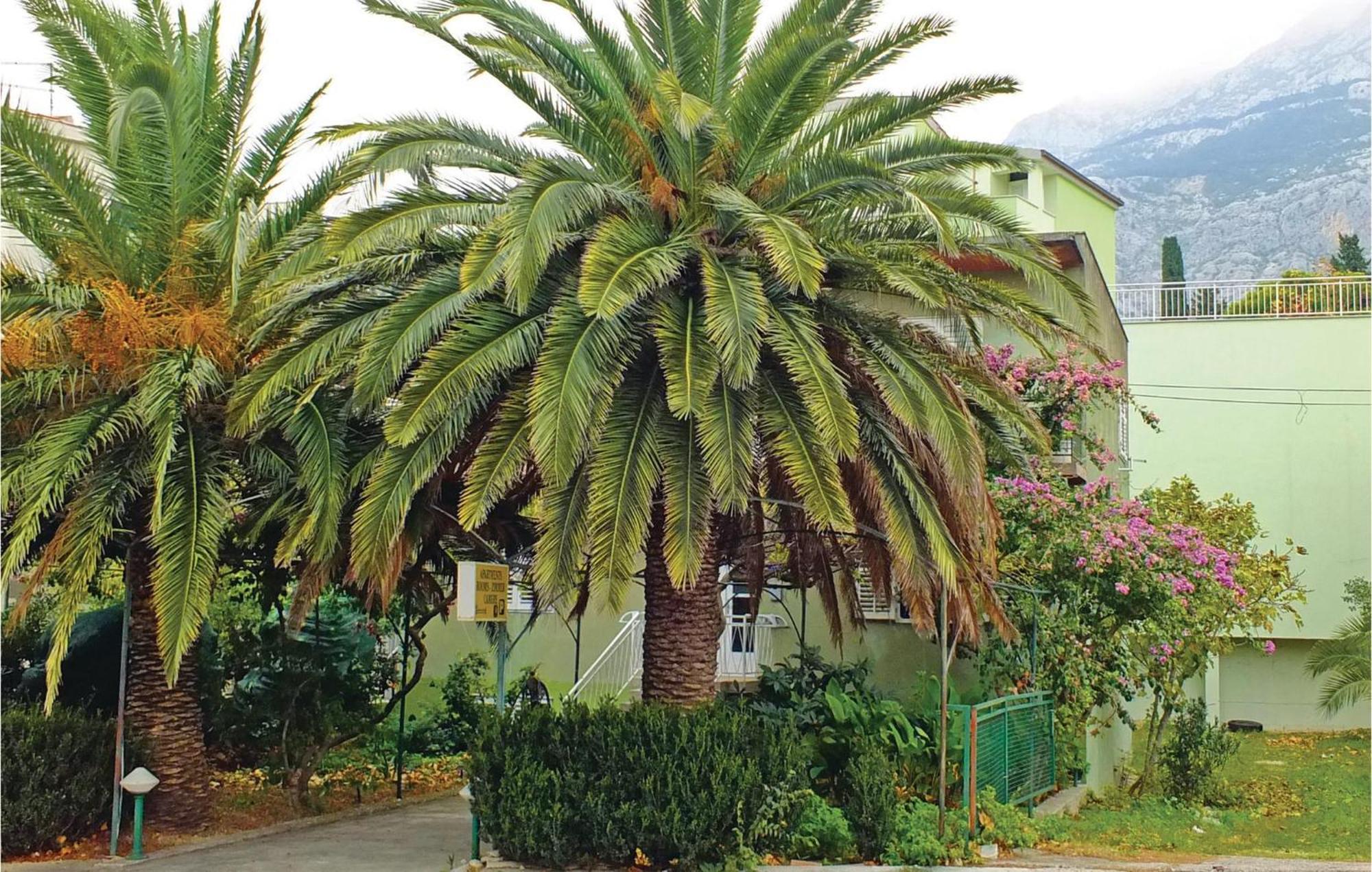 Lovely Apartment In Makarska With Wifi Exteriér fotografie